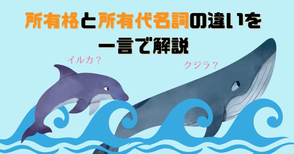 【myとmine】所有格と所有代名詞の違いを一言で解説【問題演習付き】