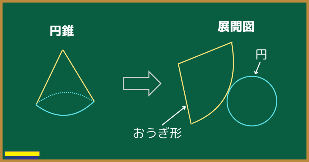 円錐を展開すると、円とおうぎ形の部分に分かれる