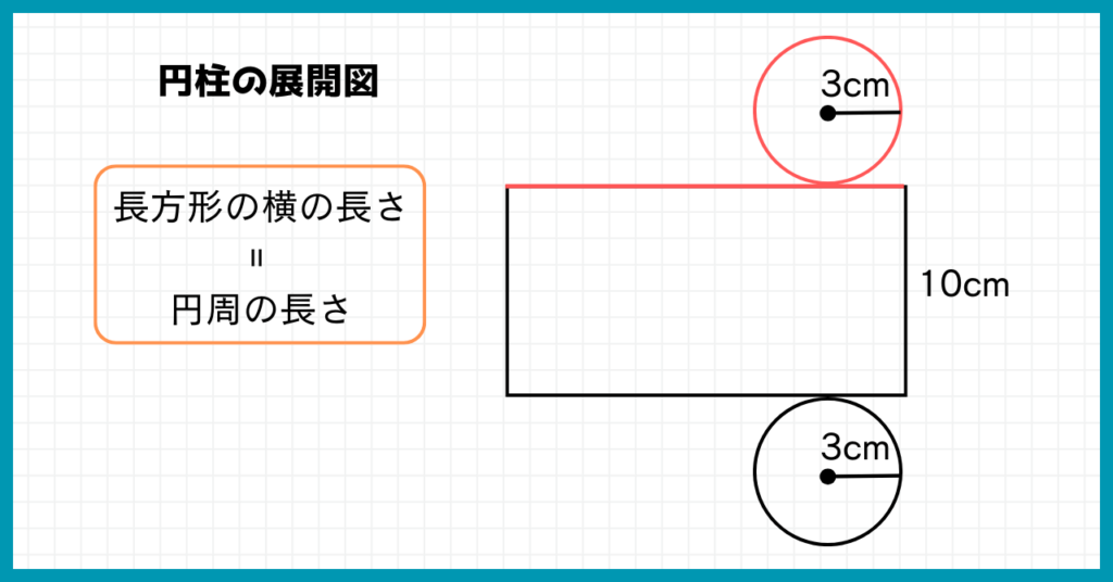 円柱の展開図
円周の長さ＝側面(長方形)の横の長さ